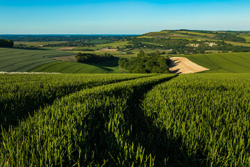 View across Amberley on the South Downs Way, West Sussex, England
