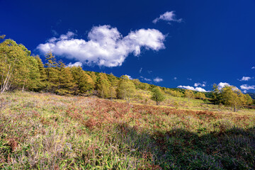 長野県・北横岳 初秋の登山道から眺める風景