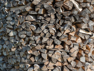 Birch firewood stacked in a large woodpile