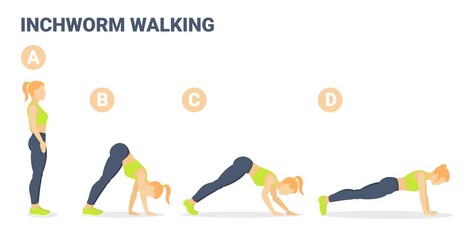 Woman Doing Inchworm Exercise Fitness Home Workout Guidance Illustration. Caterpillar Walk Concept.
