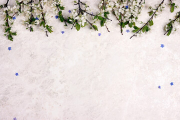 Spring background with apple blossomand forget-me-not flowers on a light marble background.