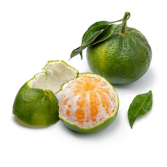 Green mandarin and a peeled one isolated on white background close up 