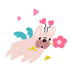 Little bulldog wearing costume for Valentine's day. Illustration on white background.
