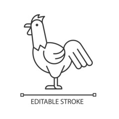 Rooster linear icon. Cocks husbandry. Commercial chicken raising. Domestic landfowl. Thin line customizable illustration. Contour symbol. Vector isolated outline drawing. Editable stroke