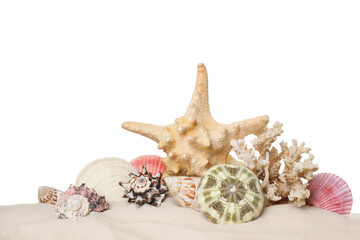 Beautiful starfish, coral and sea shells in sand on white background