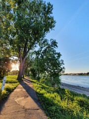 Pedestrian near to a big river - Rhein by Bonn
