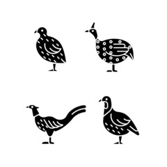 Landfowl black glyph icons set on white space. Japanese quail. Pheasant family. Guinea fowl. Domesticated birds. Commercial poultry farming. Silhouette symbols. Vector isolated illustration