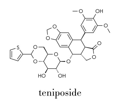 Tenoposide Bilder Durchsuchen 10 Archivfotos, und
