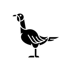 Female turkey black glyph icon. Poultry farming for food. Domestic bird growing for meat. Thanksgiving dinner with turkey. Landfowl. Silhouette symbol on white space. Vector isolated illustration