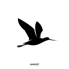 Illustration vector graphic template of bird silhouette logo