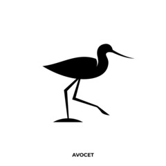 Illustration vector graphic template of bird silhouette logo