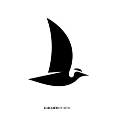 Obraz na płótnie Canvas Illustration vector graphic template of golden plover silhouette logo