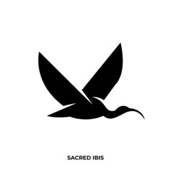 Illustration vector graphic template of sacred ibis fly silhouette logo