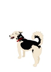 Fototapeta na wymiar illustration dog with background