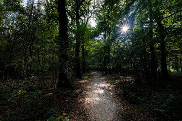 Landgoed Tongeren, Epe, Gelderland province, The Netherlands