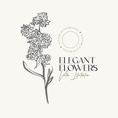 Elegant Hand draw sketch herbs or flowers.