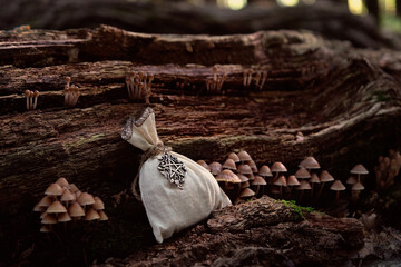 magic witch's bag with pentagram amulet and mushrooms on natural dark wood background. esoteric...