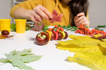 A woman decorates with viburnum berries an autumn craft caterpillar made of chestnuts and plasticine