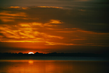 Fototapeta na wymiar sunset in the Danube Delta 