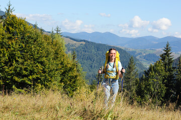 Naklejka premium Woman with trekking poles hiking in mountains