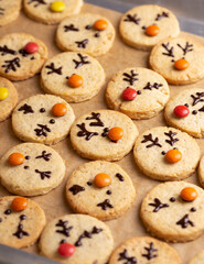gingerbread deer rudolph