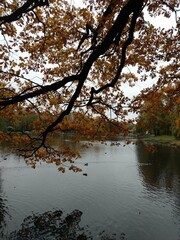 autumn in the park