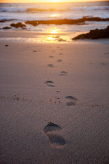 Footprints in the wet sand, with the sunset in the background.