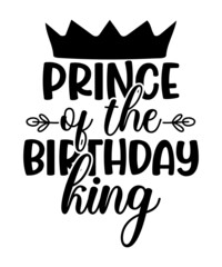 Birthday SVG Bundle, Birthday Princess Svg, Birthday Queen Svg, Birthday Squad Svg, Shirt, Birthday King, Birthday Queen svg Bundle, Birthday svg Bundle, Birthday Party svg, Birthday svg for Women, Bi
