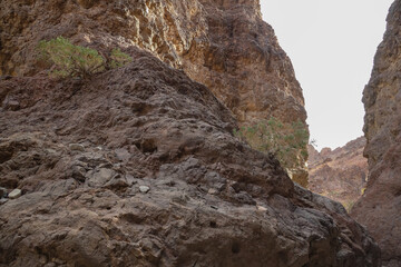 Arizona Hot Spring hiking trail, Arizona