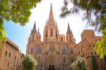 Fototapeta na wymiar Barcelona Cathedral also known as La Seu, and The Cathedral of the Holy Cross and Saint Eulalia, Old Gothic Quarter, Barcelona, Spain. It is a famous tourist attraction and landmark of the city.