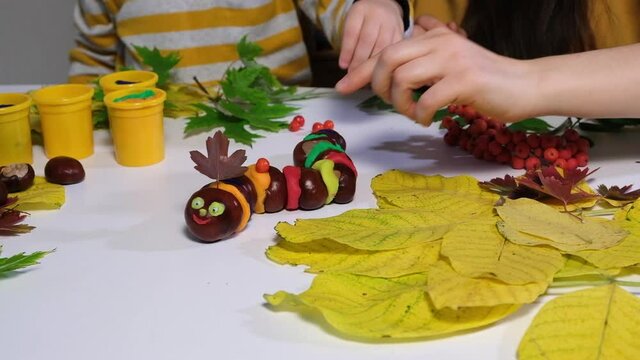 Mother and son decorate the autumn craft chestnut caterpillar with viburnum.