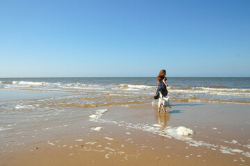 Young girl playing with a white dog on. Cromer beach in a sunny day of summer, joy, happiness, holiday, vacation in England, United Kingdom, Norfolk coast, North sea
