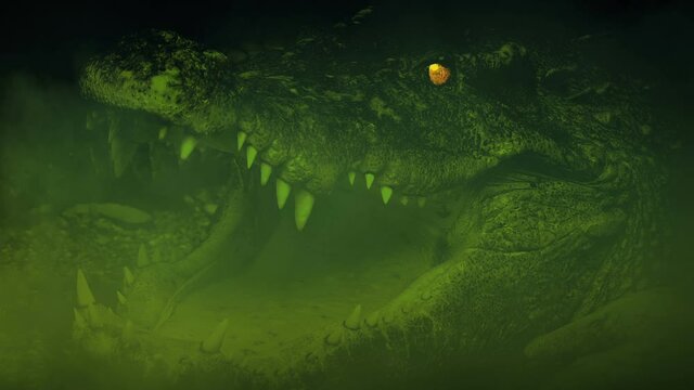 Thick Gas Over Crocodile Opening Mouth In Swamp
