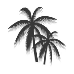 Palm tree poster isolated on white background. Modern palm trees summer backdrop for wallpaper, placard and ad. Palm tree for cover and banner. Creative art concept, vector illustration