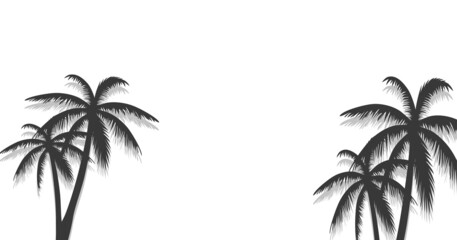 Fototapeta premium Palm tree poster isolated on white background. Modern palm trees summer backdrop for wallpaper, placard and ad. Palm tree for cover and banner. Creative art concept, vector illustration