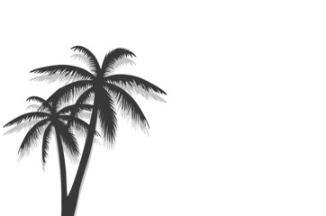 Palm tree poster isolated on white background. Modern palm trees summer backdrop for wallpaper, placard and ad. Palm tree for cover and banner. Creative art concept, vector illustration