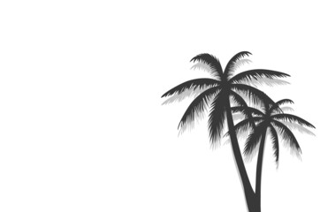 Palm tree poster isolated on white background. Modern palm trees summer backdrop for wallpaper, placard and ad. Palm tree for cover and banner. Creative art concept, vector illustration