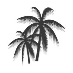 Palm tree poster isolated on white background. Modern palm trees summer backdrop for wallpaper, placard and ad. Palm tree for cover and banner. Creative art concept, vector illustration