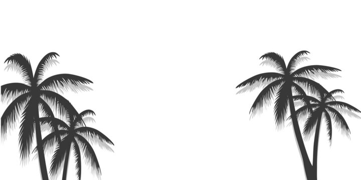 Palm tree poster isolated on white background. Modern palm trees summer backdrop for wallpaper, placard and ad. Palm tree for cover and banner. Creative art concept, vector illustration