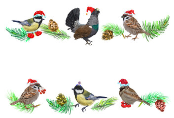 Digital Christmas border with Christmas wild bird, Christmas branches and cones. White background.