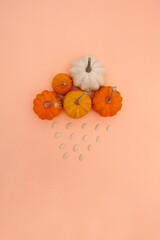 Creative composition cloud with  pumpkins and seeds on the orange background. Rainy day. Helloween composition.