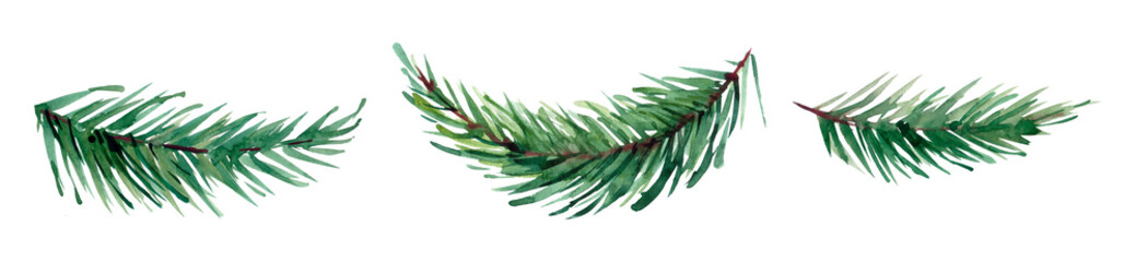Watercolor Christmas illustration with fir branches. Illustration for greeting cards and invitations isolated on white background.