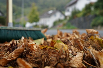 Blätterfall
