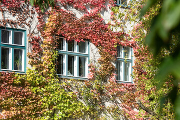 Fototapeta na wymiar Autumn in Berlin-Prenzlauer Berg