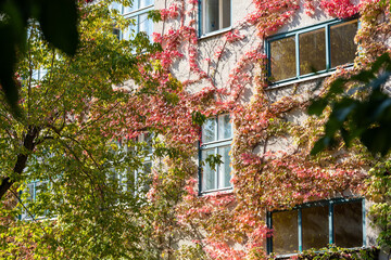 Autumn in Berlin-Prenzlauer Berg