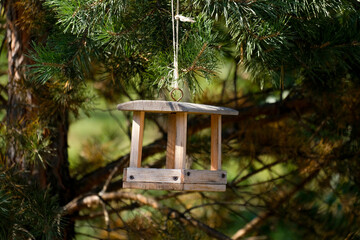 Wooden bird feeder hanging on a pine tree close up