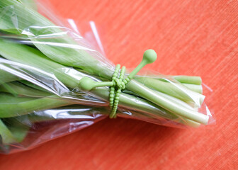 A bouquet of tulips is tightened in a silicone tourniquet