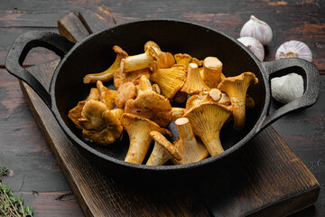 Raw wild chanterelles mushrooms, in cast iron frying pan, on old dark  wooden table background