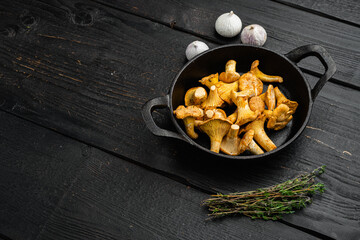 Chanterelle mushrooms, in cast iron frying pan, with copy space for text