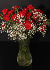a bouquet of red carnations and baby's breath in a glass vase